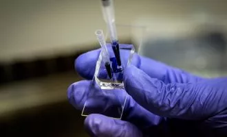 میکروچیپ شبیه ساز کلیه