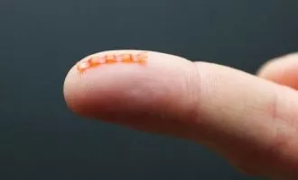 ربات انعطاف پذیر کرم مانند