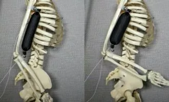 عضله مصنوعی پرینت سه بعدی رباتیک