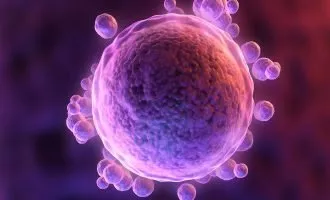 پرورش تخمک بالغ انسانی در محیط آزمایشگاهی