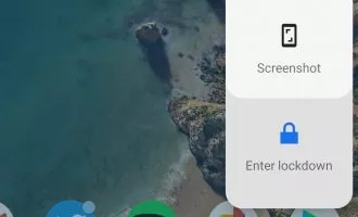 قابلیت Lockdown