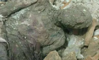 مومیایی رضاشاه
