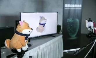 تماس ویدئویی سه بعدی