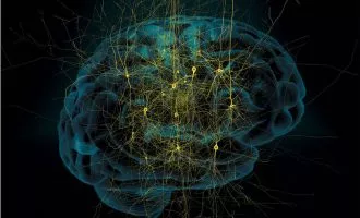 زندگی دیجیتال