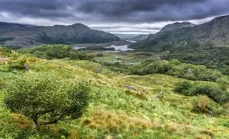 سوخت های فسیلی