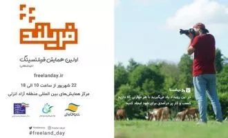 فریلند