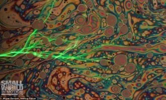 مسابقه فیلمبرداری نیکون