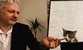 گربه جولیان آسانژ