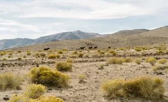 تکنولوژی بلاکچین