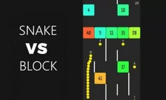 Snake VS Block