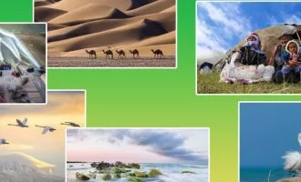 پنجمین جشنواره عکس نور نگار