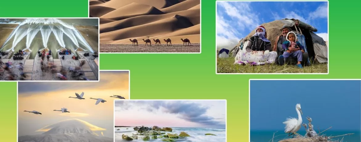 پنجمین جشنواره عکس نور نگار