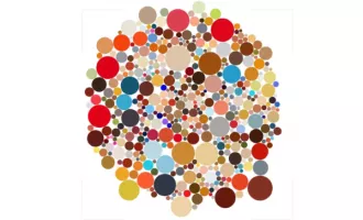 Year of Colour