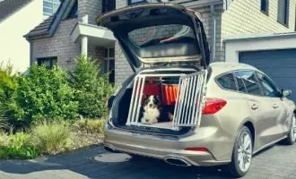 ford-focus-wagon-design-helped-by-a-dog