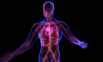 دستگاه گردش خون