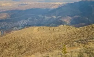 پروژه درختکاری ایرانسل