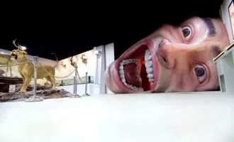 اسنپ تریپ