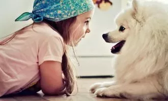 حیوانات خانگی