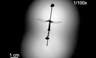 زنبور رباتیک