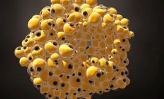 تبدیل سلول‌های سرطانی پستان به سلول‌های چربی