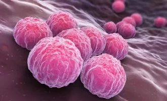 واکسن کلامیدیا