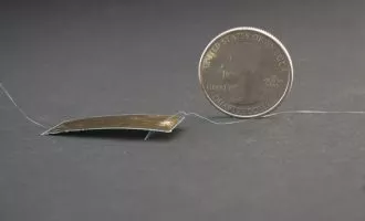 سوسک رباتیک