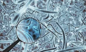 ایمونوگلوبین A