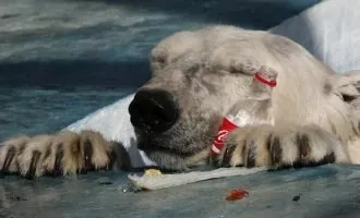 میکروپلاستیک