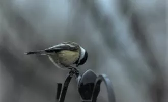 تغییرات اقلیمی