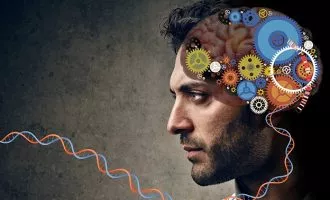 ژن تنظیم کننده اصلی