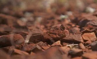 شواهد اولیه حیات