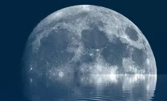 را تایید می‌کند