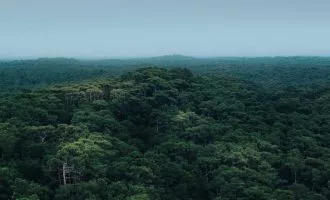 گرمایش زمین