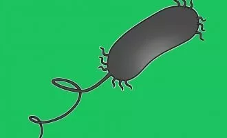 فیبروز سیستیک