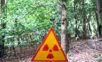 قارچ کریپتوکوکوس نئوفورمانس