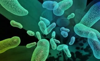 ویروس آنفولانزا