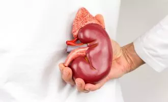 سلول بنیادی