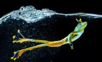 مسابقه عکاسی Mind’s Eye
