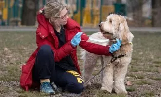 حیوانات خانگی