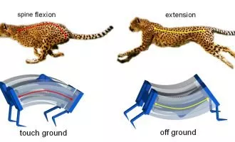 ربات‌های نرم
