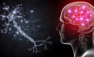 ارتباط عصبی