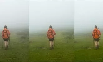 Saturation و Vibrance