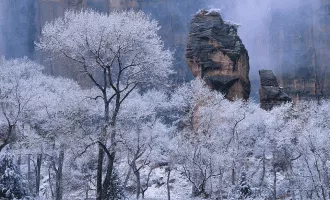 مسابقه عکاسی