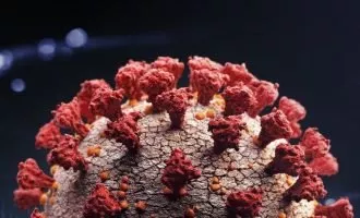 گونه جدید ویروس کرونا