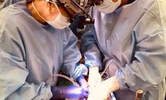 پیوند کلیه خوک به انسان