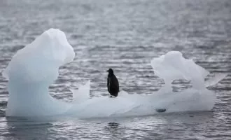 گرمایش جهانی