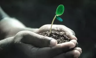 کمبود ویتامین