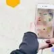 گذاشتن گیف در استوری اینستاگرام