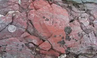 فسیل سال 2008