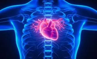 شناسایی سلولهای ترمیمی برای بازسازی قلب